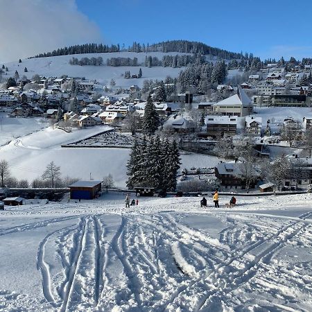 Haus Am Sonnenberg,Todtnauberg, Ferienwohnung 002, Direkt Am Skilift-Skipiste, Naehe Feldberg Exteriér fotografie