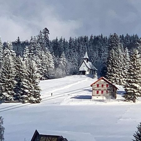 Haus Am Sonnenberg,Todtnauberg, Ferienwohnung 002, Direkt Am Skilift-Skipiste, Naehe Feldberg Exteriér fotografie