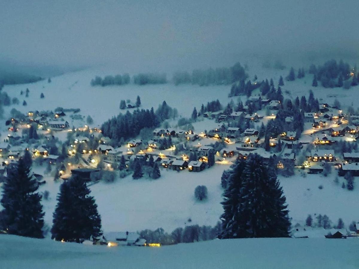 Haus Am Sonnenberg,Todtnauberg, Ferienwohnung 002, Direkt Am Skilift-Skipiste, Naehe Feldberg Exteriér fotografie