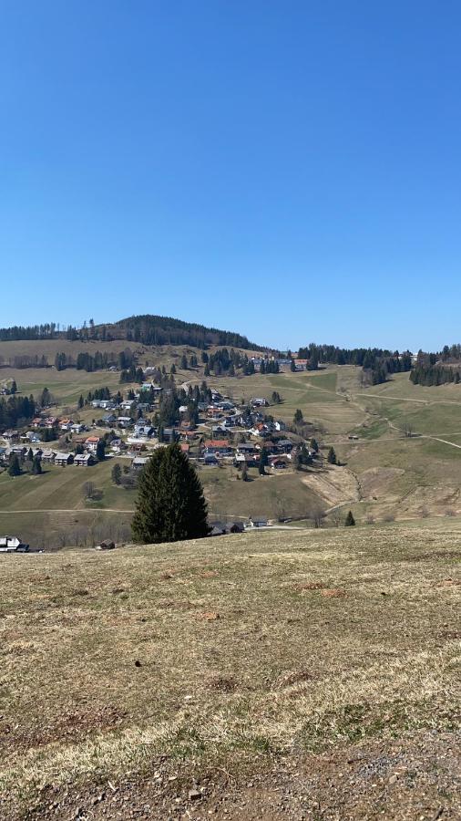 Haus Am Sonnenberg,Todtnauberg, Ferienwohnung 002, Direkt Am Skilift-Skipiste, Naehe Feldberg Exteriér fotografie