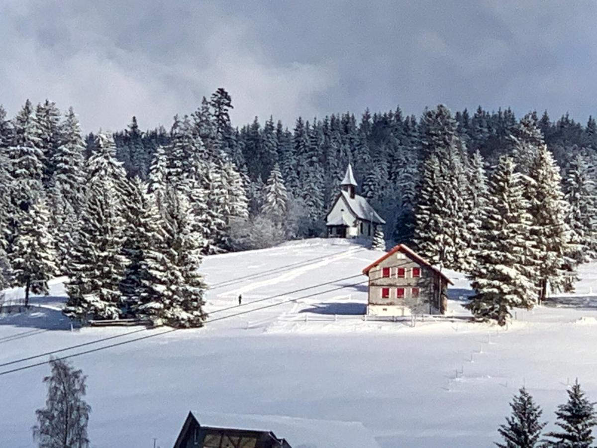 Haus Am Sonnenberg,Todtnauberg, Ferienwohnung 002, Direkt Am Skilift-Skipiste, Naehe Feldberg Exteriér fotografie