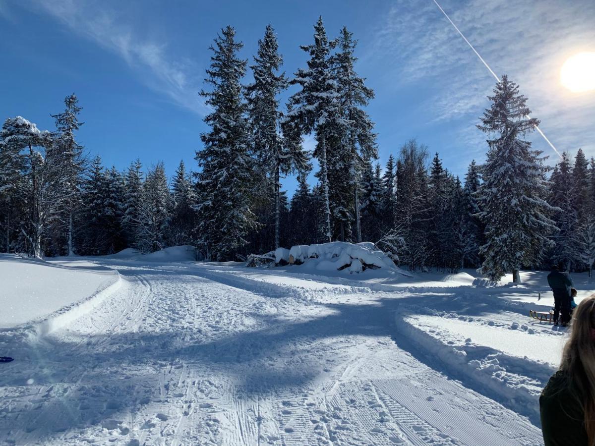 Haus Am Sonnenberg,Todtnauberg, Ferienwohnung 002, Direkt Am Skilift-Skipiste, Naehe Feldberg Exteriér fotografie