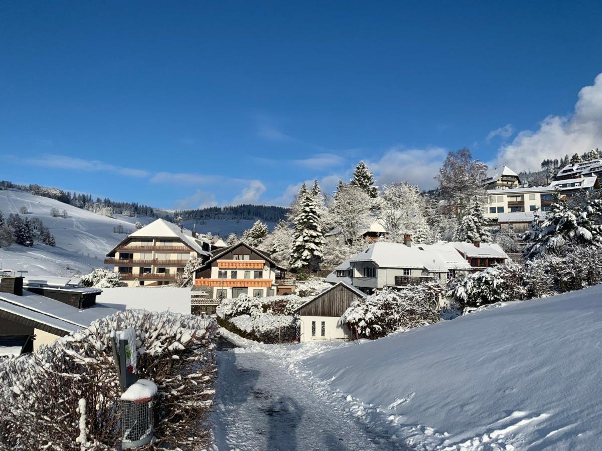 Haus Am Sonnenberg,Todtnauberg, Ferienwohnung 002, Direkt Am Skilift-Skipiste, Naehe Feldberg Exteriér fotografie